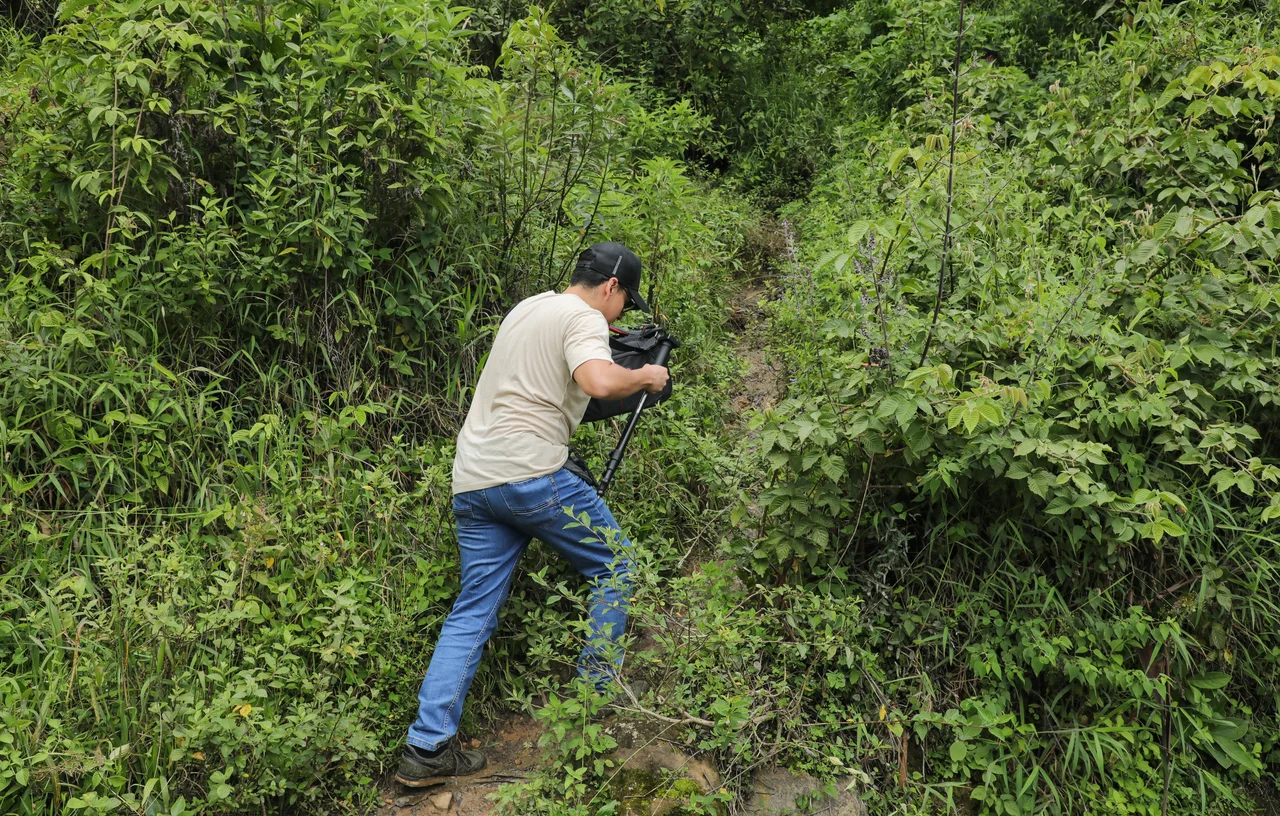 Tierra adentro — fotografía 00012 de la galería Raíces de Orrego
