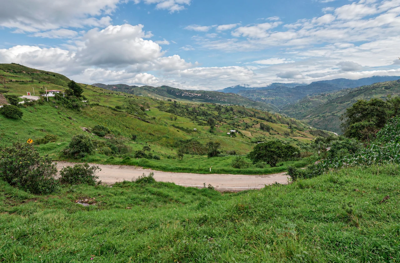 Tierra adentro — fotografía 00014 de la galería Raíces de Orrego